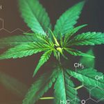 CBD & THC Chemical Structure