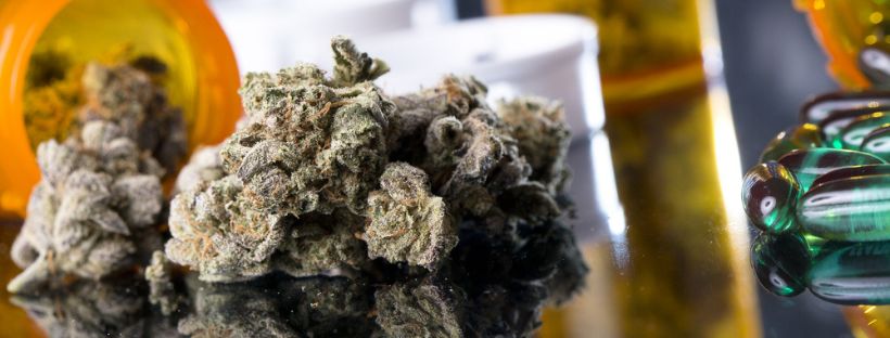 Marijuana Certification.