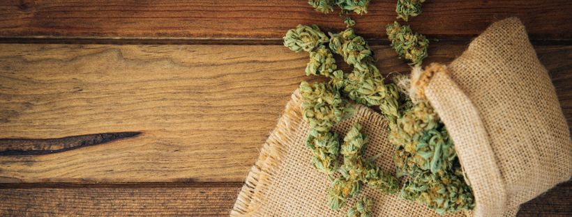 Renew Medical Marijuana Card