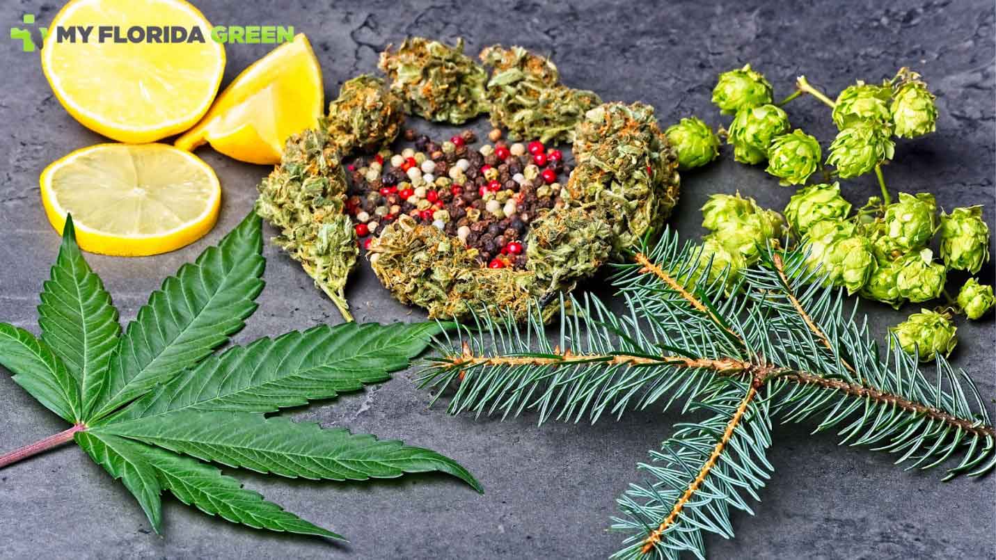 Marijuana medications