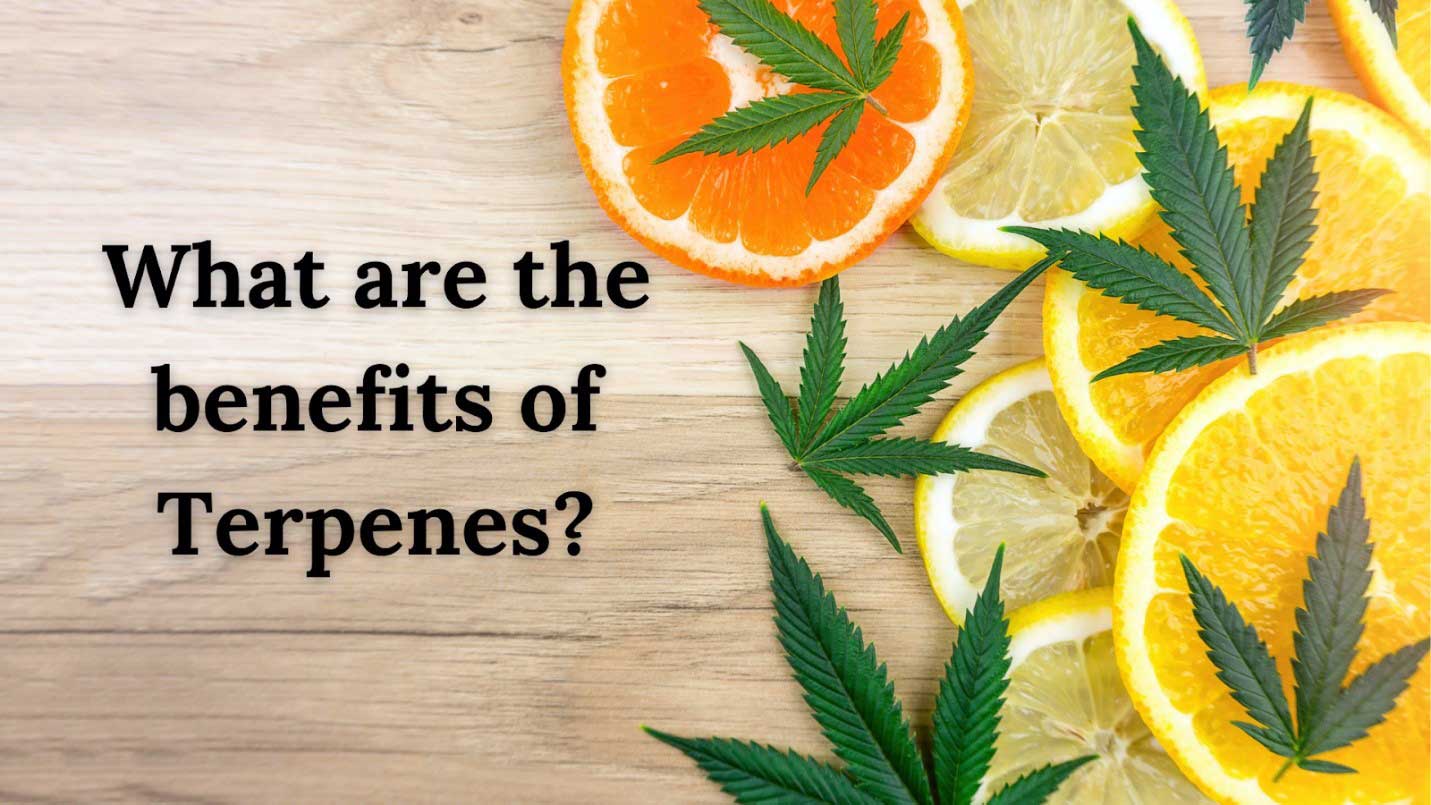 Benefits of Terpenes.