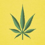 Marijuana Card Sarasota