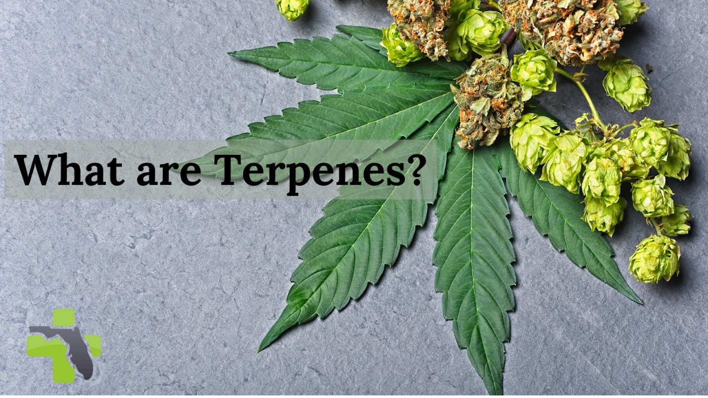 Marijuana Bonita Springs