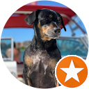 Heather Ebner profile picture