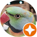 Jose Alejandro (XRUNX) profile picture