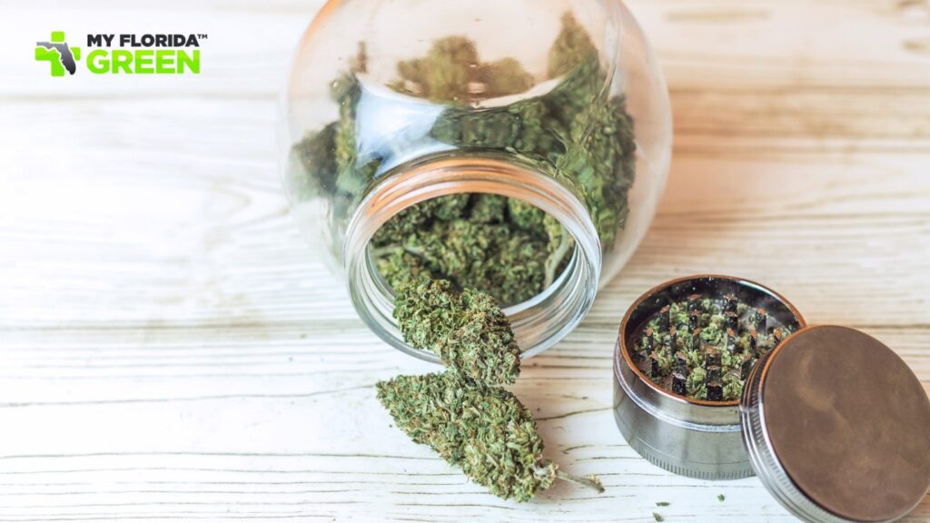 epilepsy cause of use