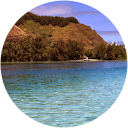 Yari Del Rio profile picture