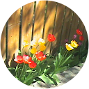 VIVIANA MORALES DIVIU profile picture