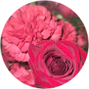 A. B. profile picture