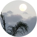 Brains profile picture