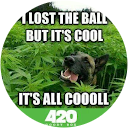 Eric Bartok profile picture