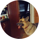 Michael O'Farrell profile picture