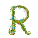 Rita Schmidt profile picture