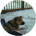 Lori Ballester profile picture