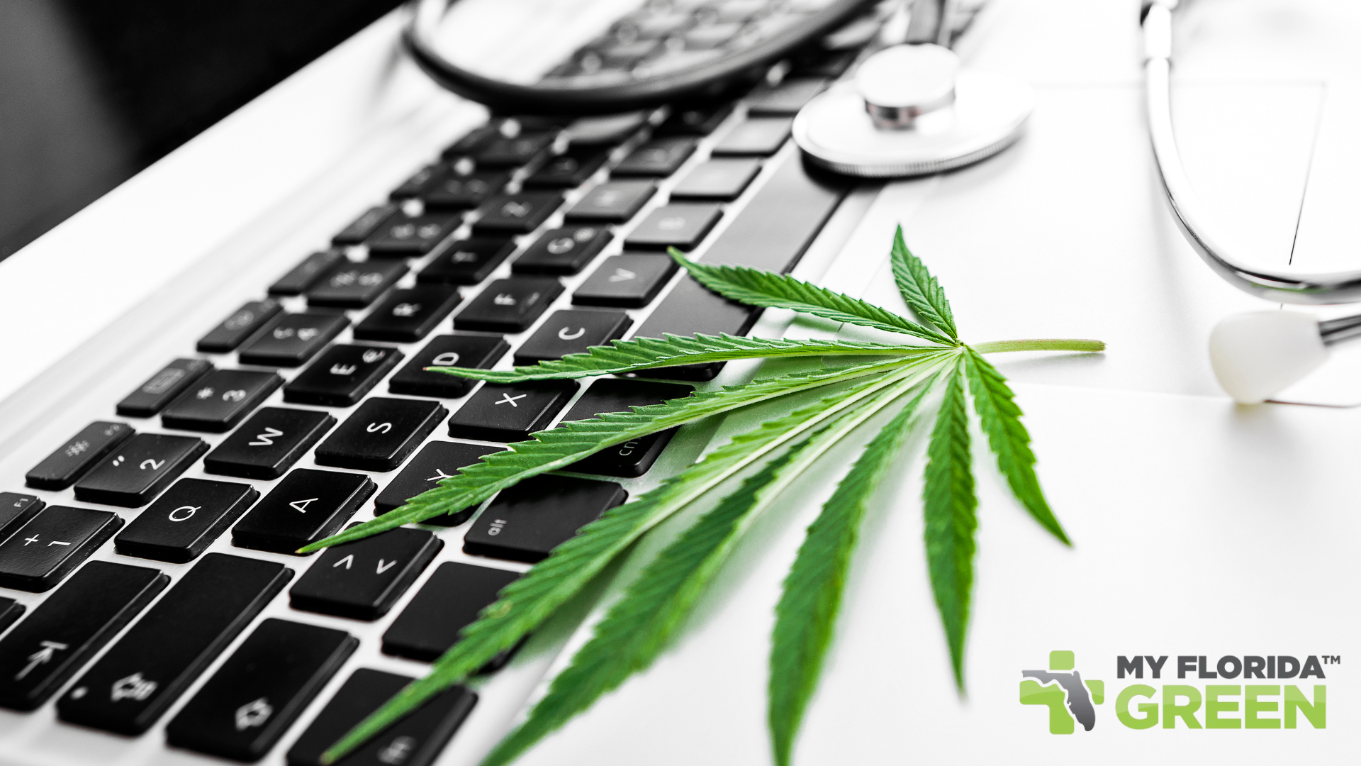 Finding a Marijuana Dispensary in Sarasota.