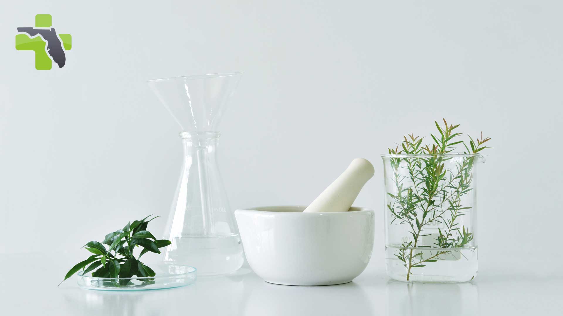 Understanding Holistic Health