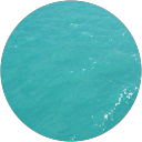 Lisa Carrano profile picture