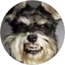 Barry Waldrop profile picture