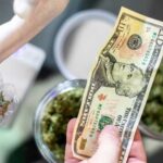 Evolution of Cannabis Culture in USA Florida