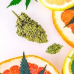 What Does Marijuana Smell Like and What Causes Its Aroma?