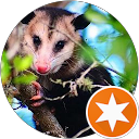 Pisa Gabij profile picture